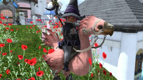 The Fashion Report is a weekly mini-game in the Gold Saucer with the NPC the Masked Rose to earn 60,000 MGP and items to unlock from another NPC such as glamour, and housing items. . Ffxiv rose pink dye